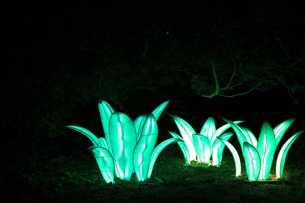 LED or bio-inspired light technology based on fireflies.