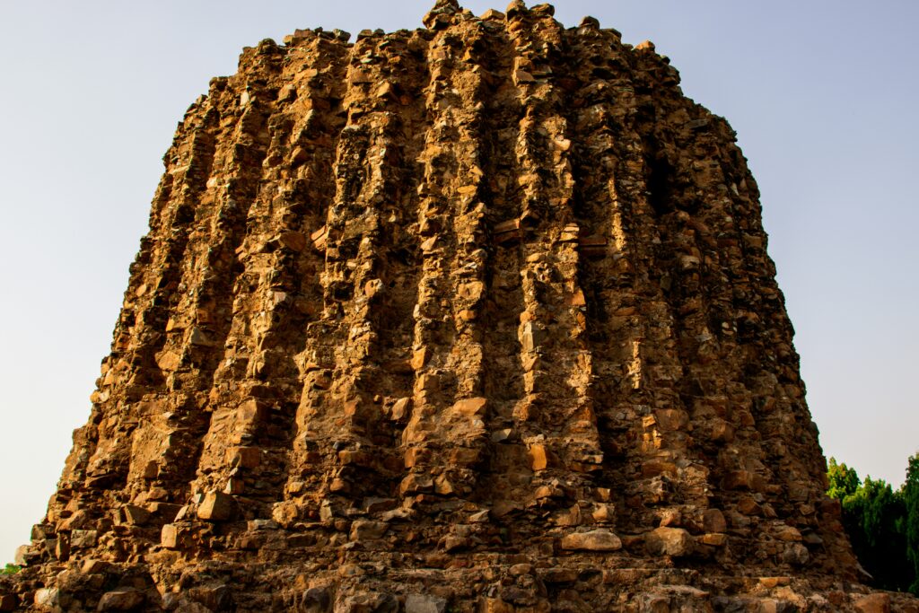 Intricate architectural design of a termite mound.