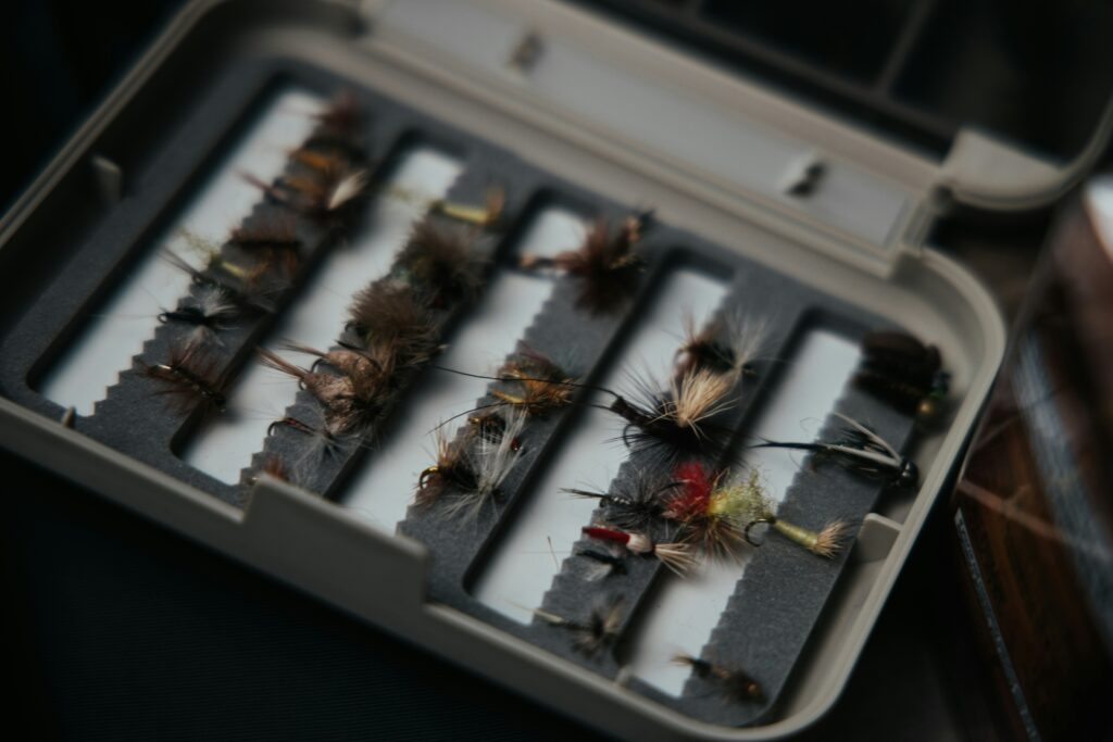 Cockroaches and ants living inside a computer server cabinet