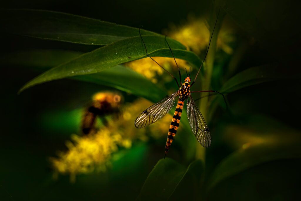 LED or bio-inspired light technology based on fireflies.