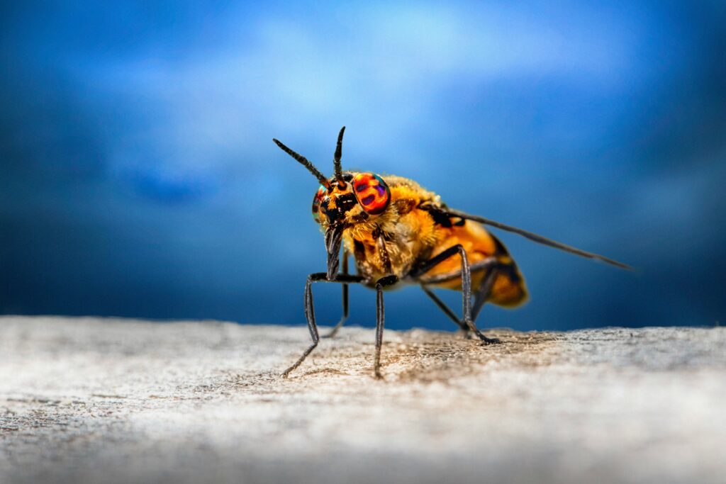 Scientist researching insect aging and longevity in lab.