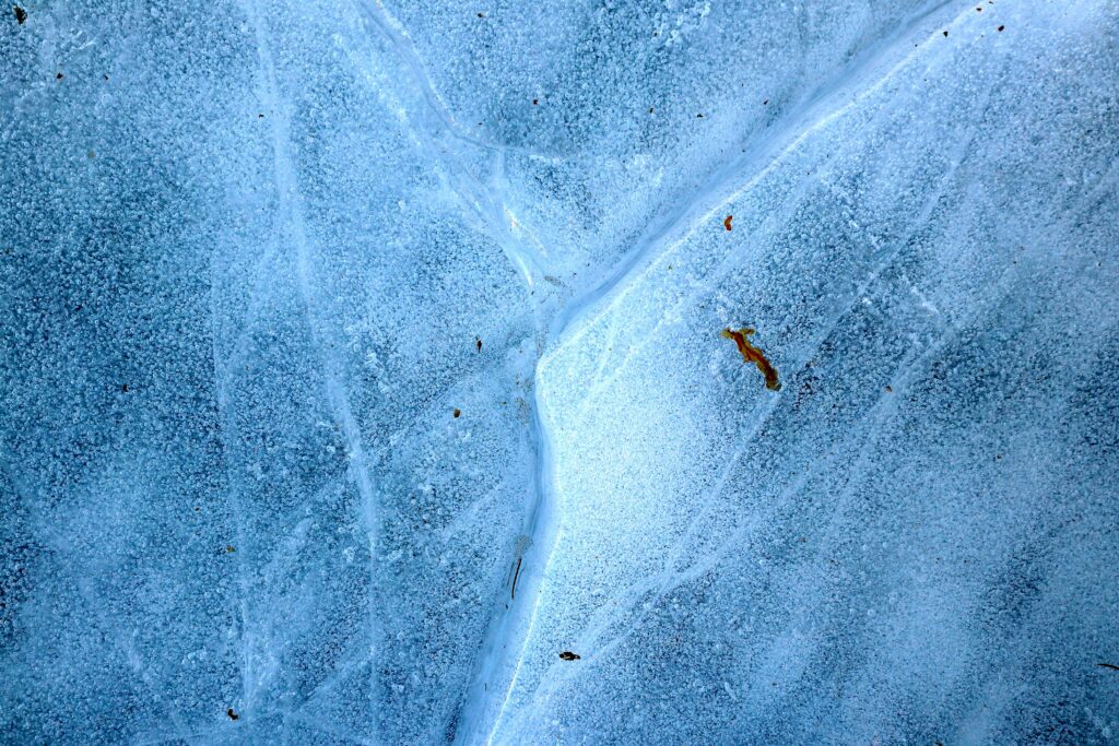 Glacier ice worm crawling on ice surface in a cold glacial environment