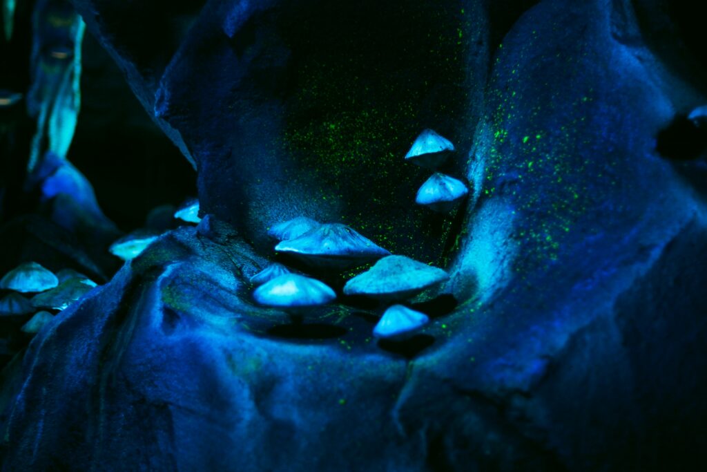 Future possibilities of bioluminescence in science and tech.