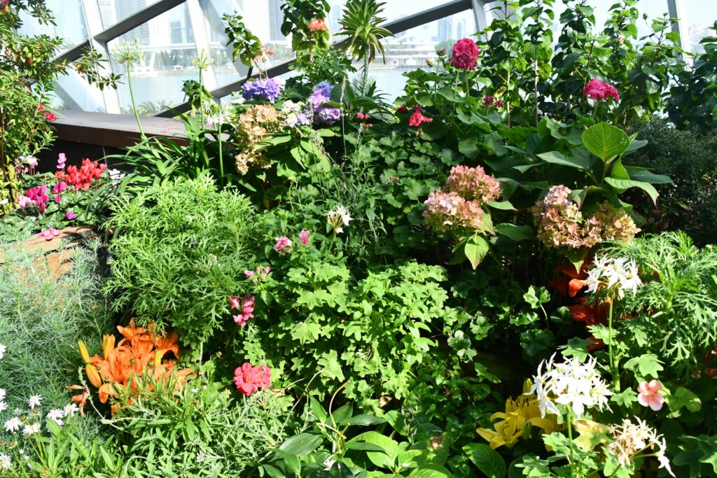 A vibrant, well-maintained insect enclosure with live plants for a healthy environment.