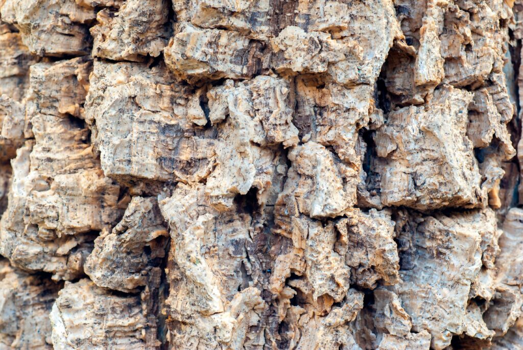 Sustainable human architecture inspired by termite mound designs.