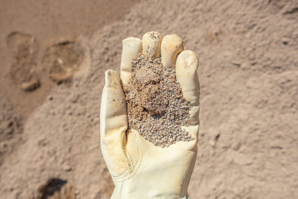 Paleontologist uncovering early insect fossils in sediment.