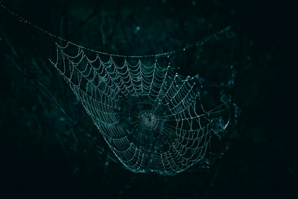 Map showing regions where spiders build fake burrows