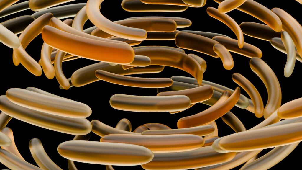 Chart displaying major decomposers: bacteria, fungi, insects, and worms