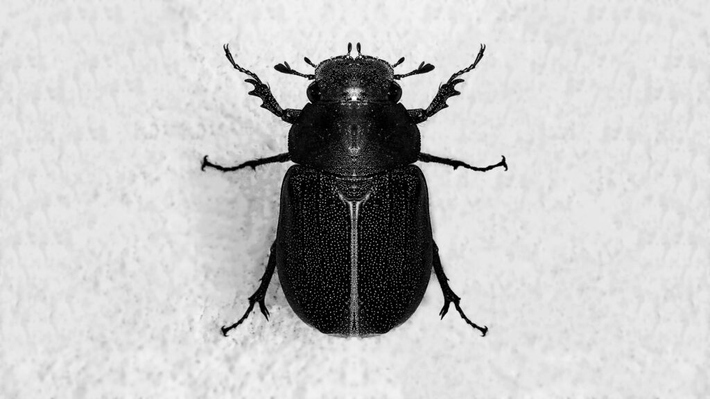 Scientist examining frozen insects under lab light with advanced tools