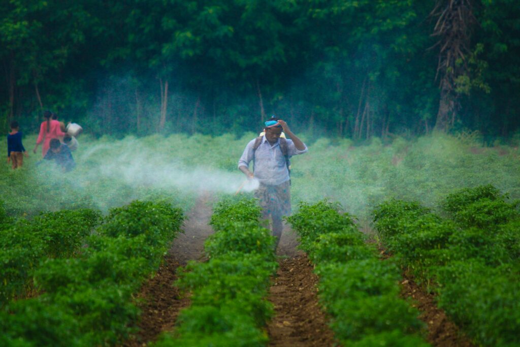 Farmer practicing pesticide-free farming methods.