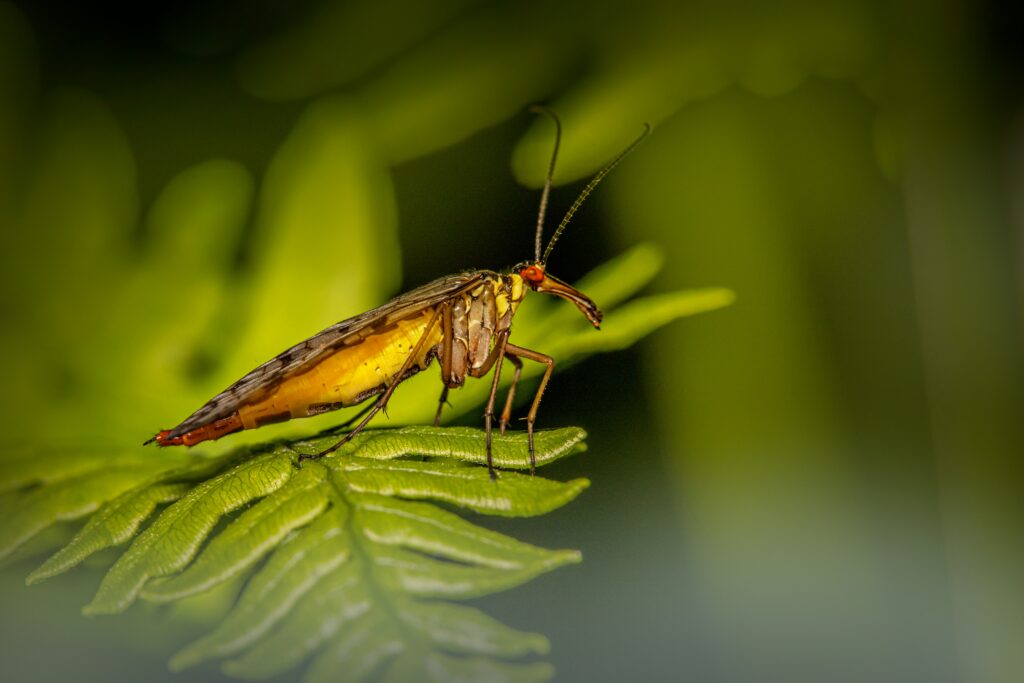 Glowing firefly in a nighttime scene representing light powered by internal electricity