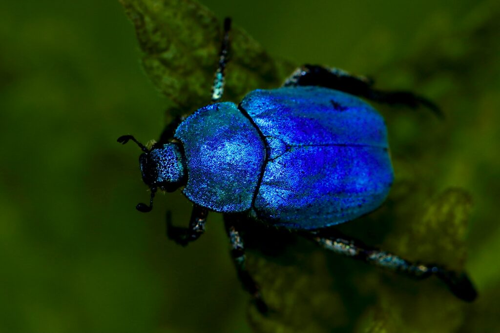 A glowing beetle in a dark forest emitting green bioluminescent light
