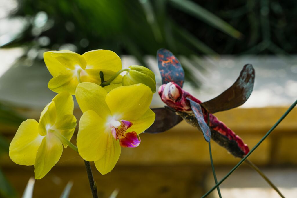 Orchid mantis perched and mimicking flower petals