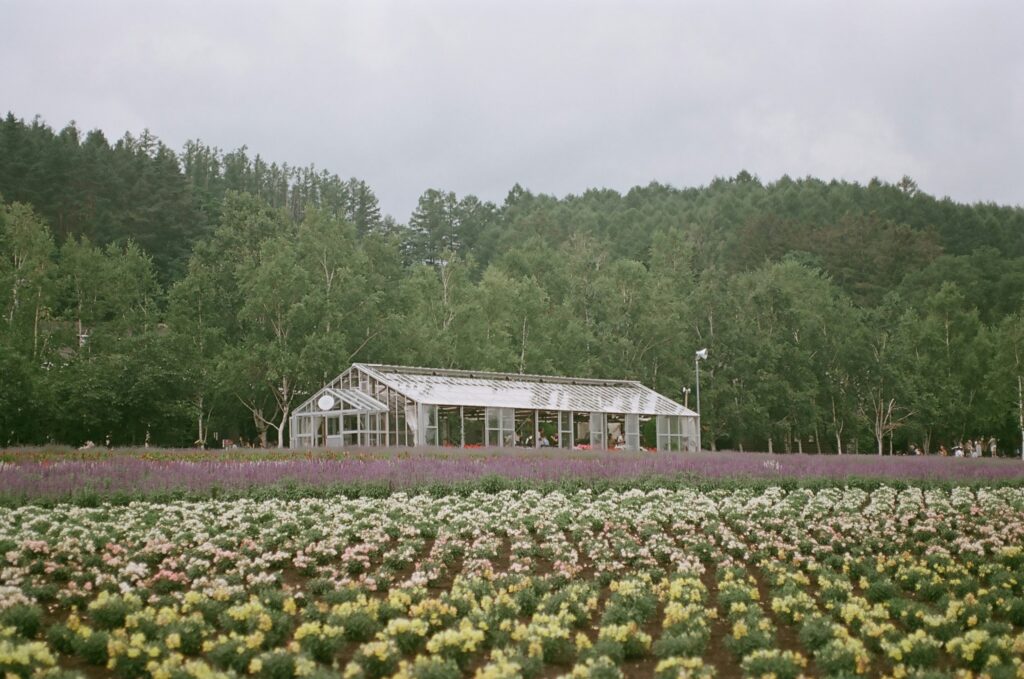 A biodiverse farm field with visible insects and healthy plant life.