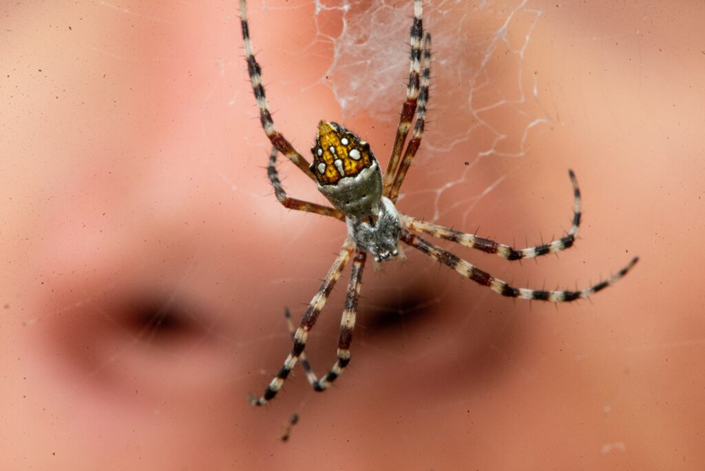 Child observing a spider in a jar during a nature education session
