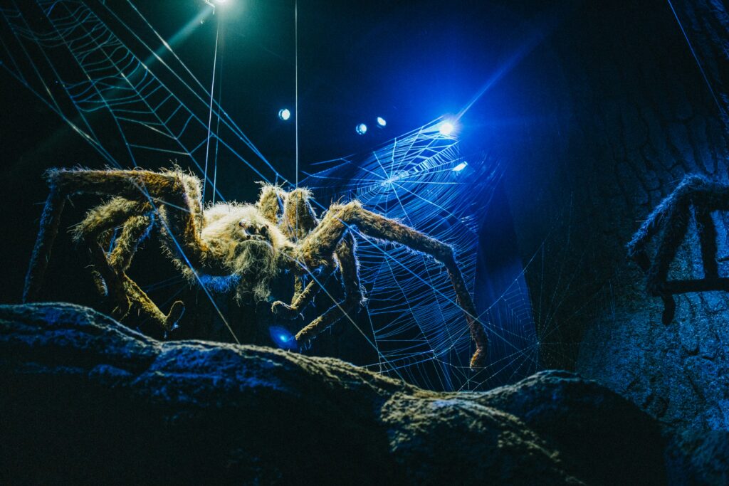 UV-glowing spiders found across global ecosystems from forest to urban areas
