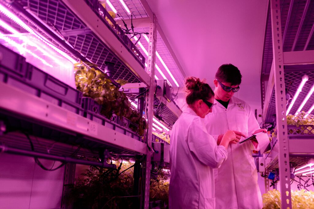 A laboratory setup analyzing spiders in agriculture.
