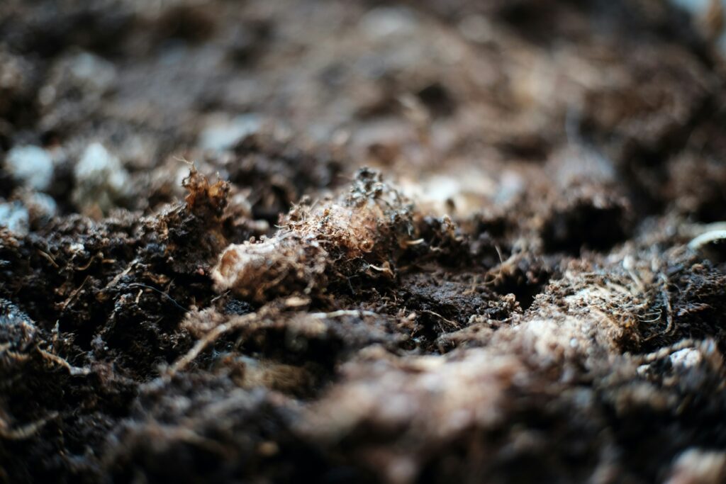 Infographic showing how decomposers release nitrogen into the soil