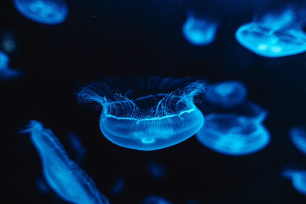 Conceptual image of bioluminescent chemical reaction.