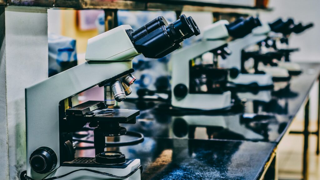 Scientific microscopes used to study the chemical defense mechanisms of the Bombardier beetle.