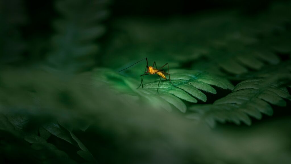 Golden insect resting on a fern leaf in a dark forest setting.