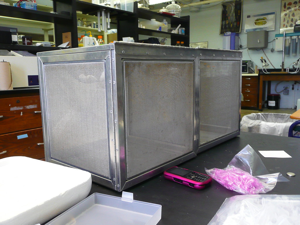 A cage for rearing mosquito species