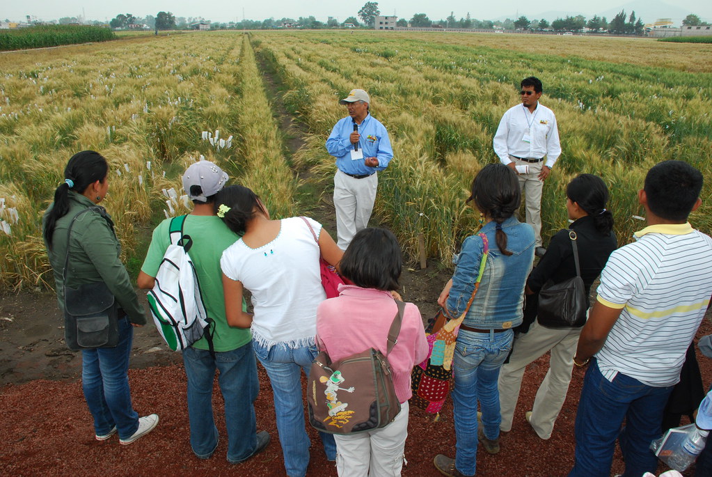 An instructor and students on a fieldwork orientation.