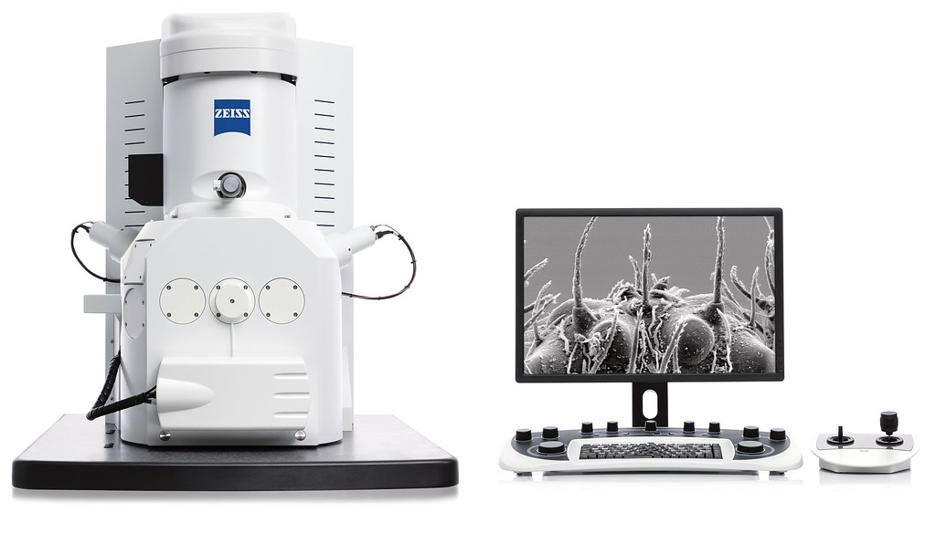 An electron microscope, a powerful tool in insect observation