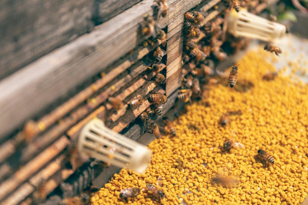 Detailed view of bees collecting pollen and returning to their hive. Nature in action.