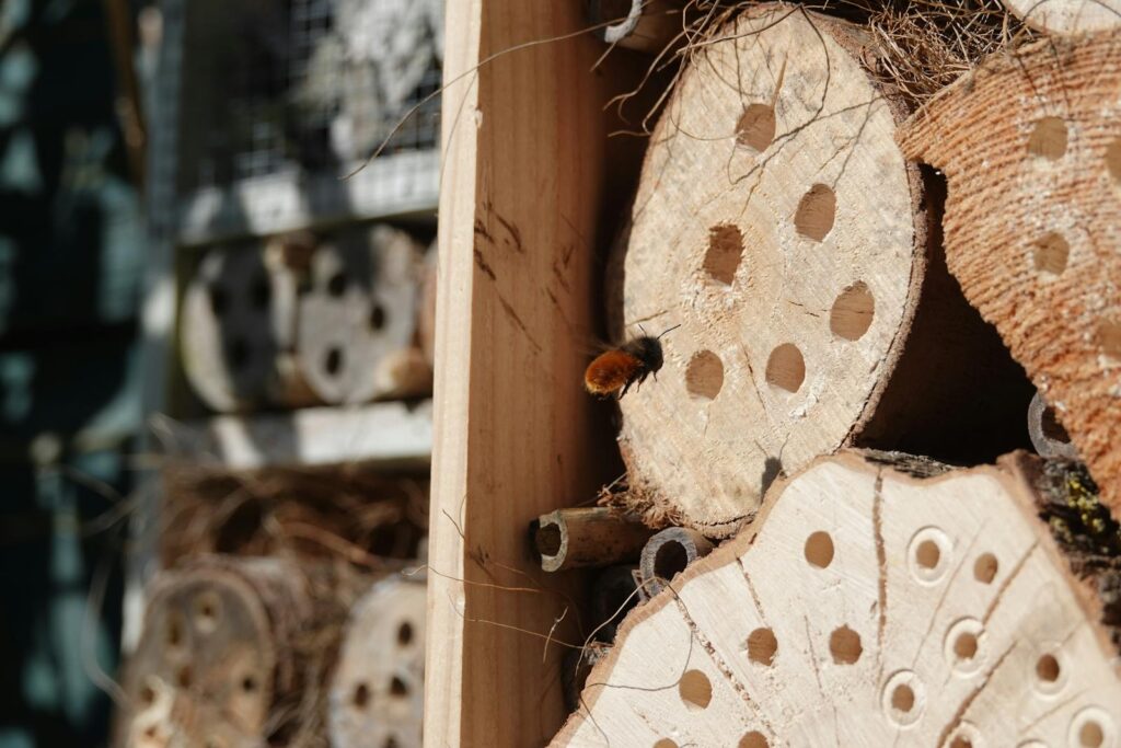 A bumblebee perched on a layer of an insect hotel in outdoor sunlight.