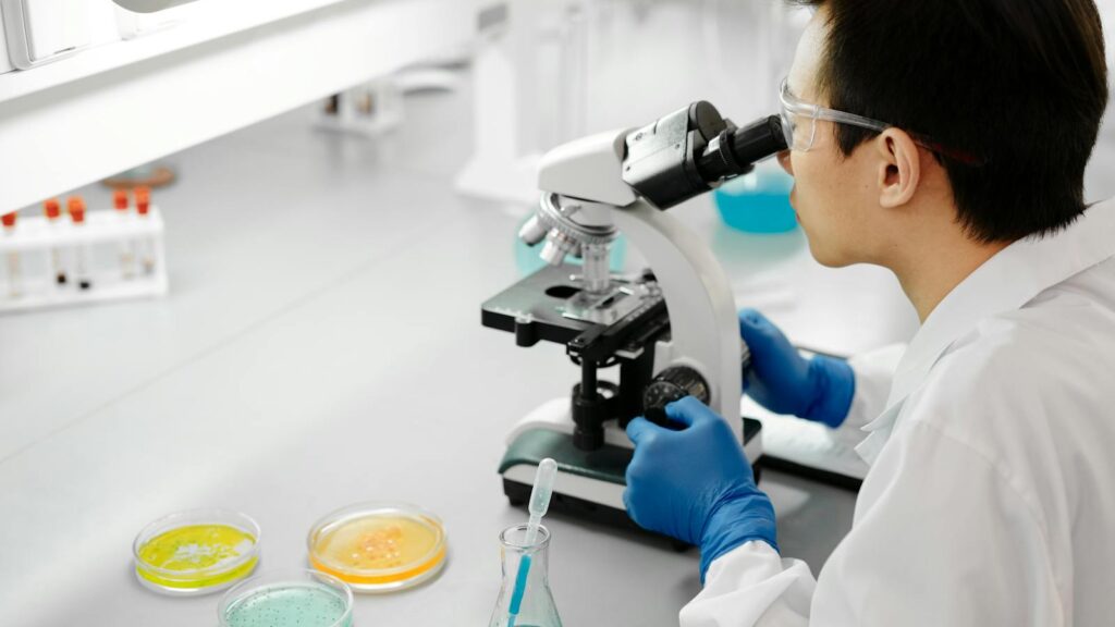 Scientist in laboratory examining samples with a microscope, surrounded by colorful petri dishes.