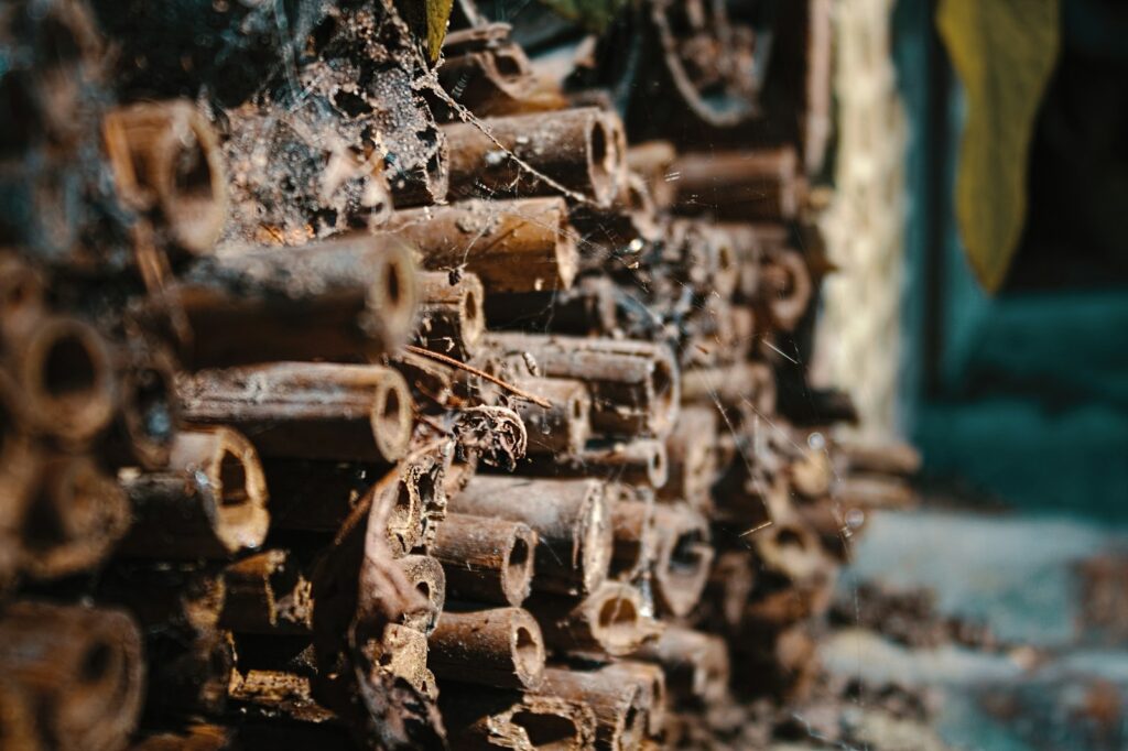 a close up of a bunch of rusted pipes