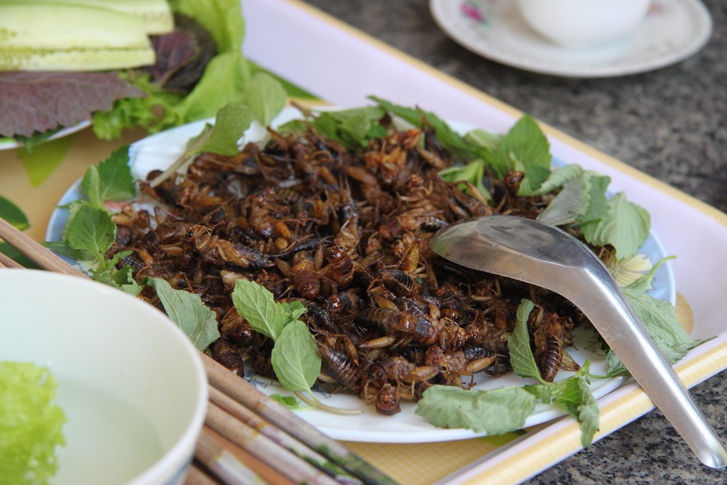Would you eat insects? Deep fried and ready to be consumed.