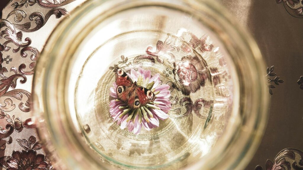 Butterfly with vivid eye-like patterns on a flower, seen through a glass jar.