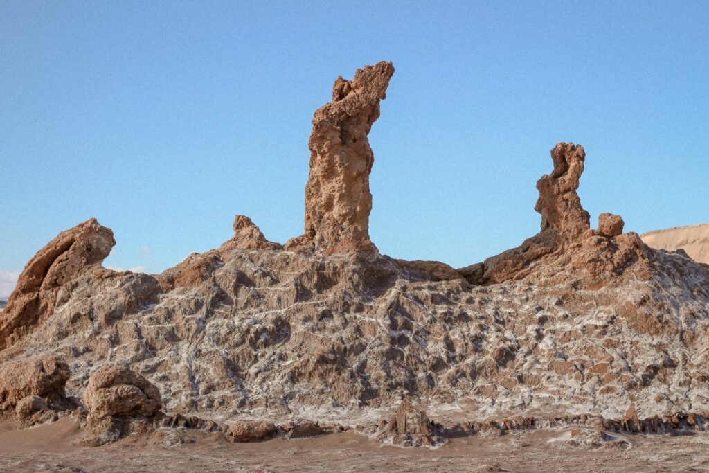 Close-up of worker termites collaborating to build an earthen mound