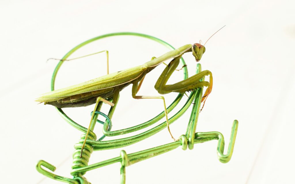 Concept art of a biomechanically engineered giant insect with ventilators and reinforced legs