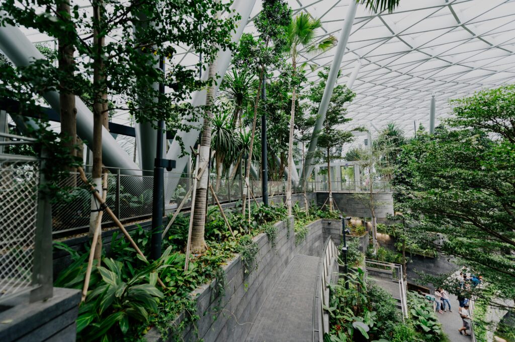 A well-planted bioactive terrarium with visible substrate layers and insects