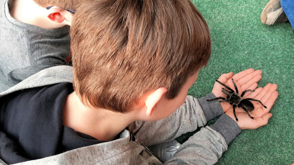 Children with magnifying glasses studying insects in a schoolyard or garden