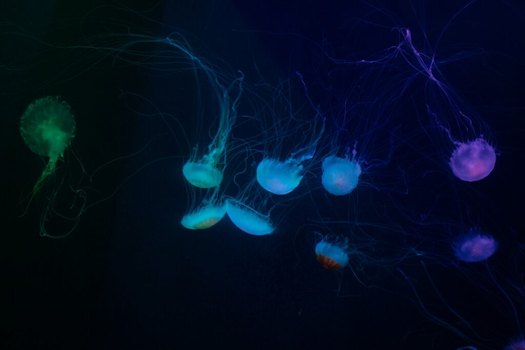 Visualization of bacteria inside an insect gut with evolutionary arrows