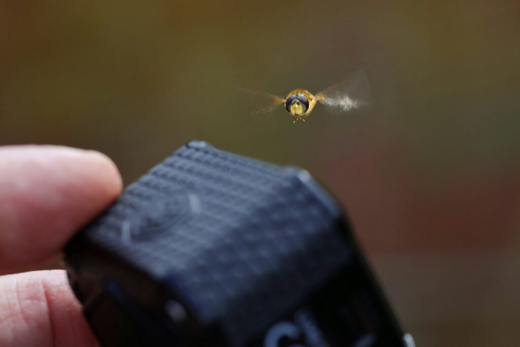 Diagram showing radar antenna tracking a flying bee through terrain