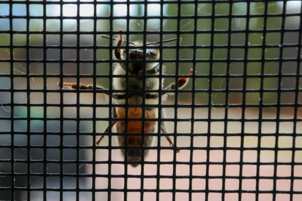 Insects eating fresh fruit and vegetables inside a bioactive tank