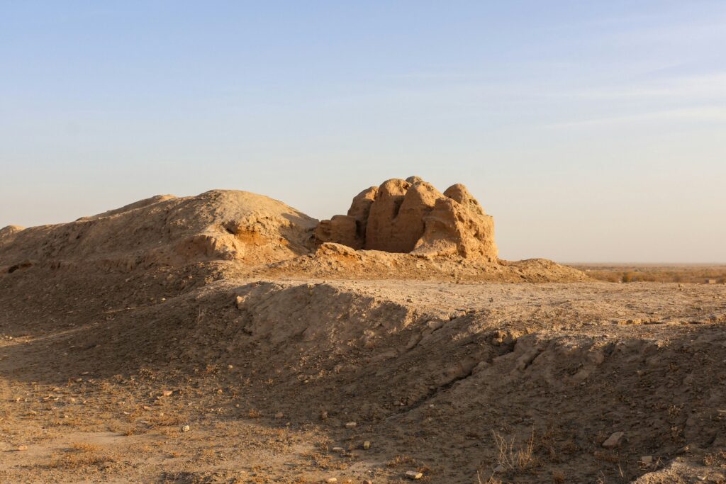 Comparison of termite mounds from arid and humid environments