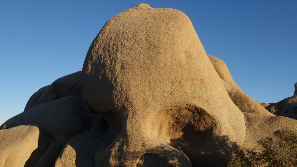 Large termite mound in savannah landscape showcasing natural cooling design