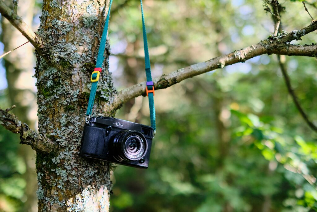 Small camera trap set up in forest capturing insect activity