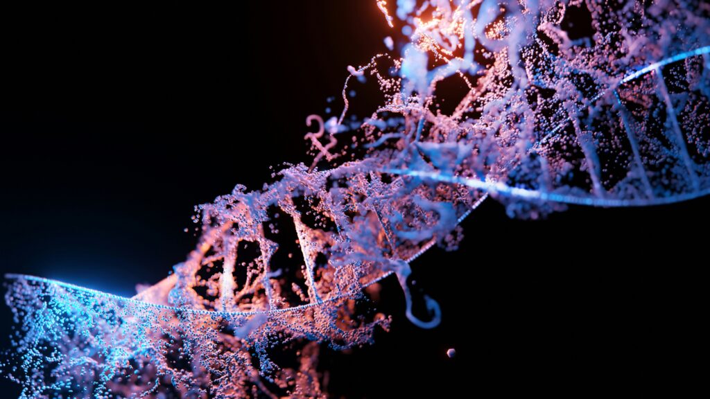 Insect with highlighted gene regions associated with camouflage and flight