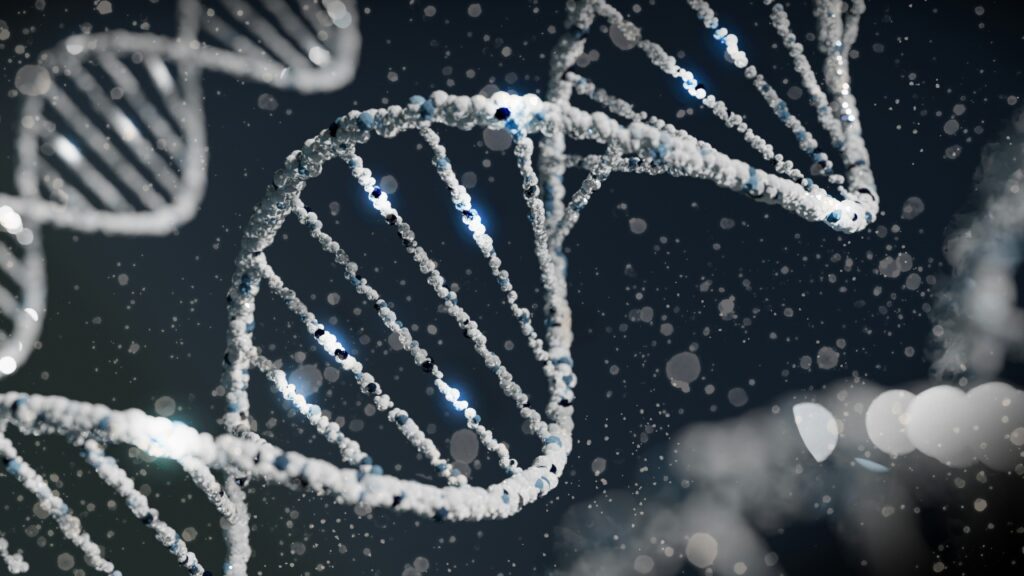 DNA strand overlaying an insect to symbolize genetic adaptation
