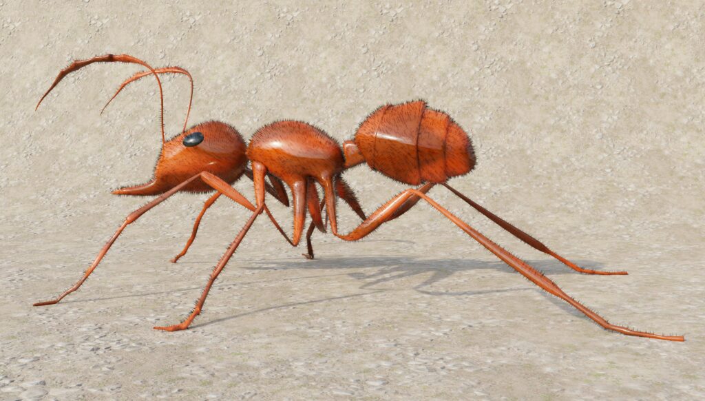 Chart showing insect stings ranked by pain level, with bullet ant at the top
