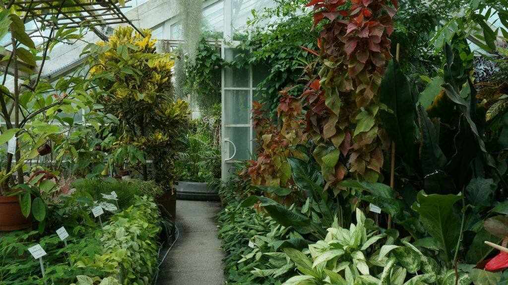 Tropical plants growing inside an insect terrarium with natural lighting
