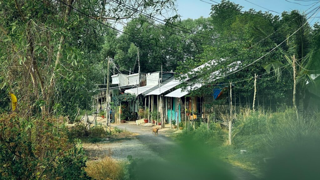 Healthy plants, active insects, and clean substrate in a well-maintained enclosure