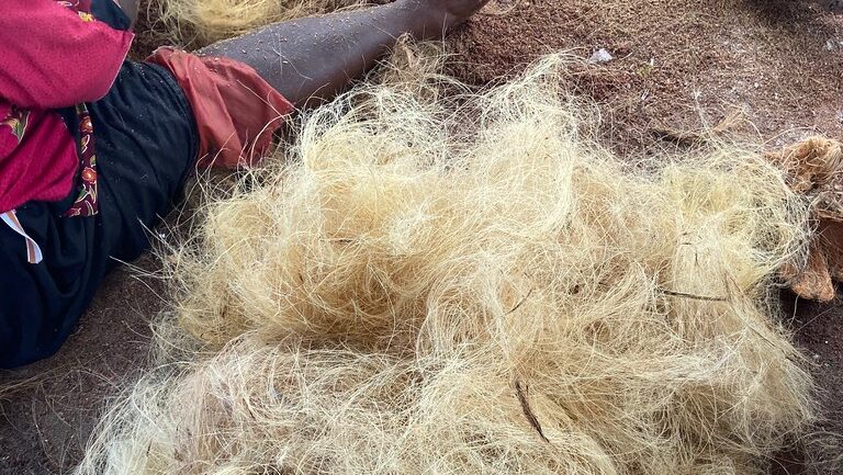 Local processing of coconut fiber